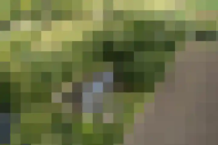 Hoornderweg 2 Wedde thumbnail 38
