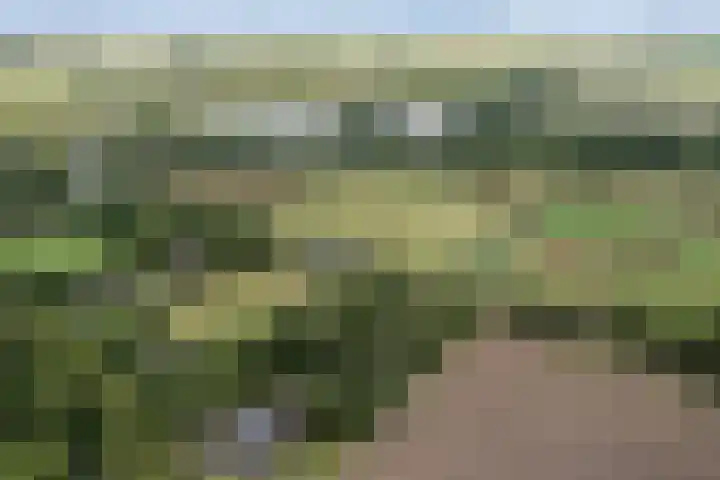 Hoornderweg 2 Wedde thumbnail 39