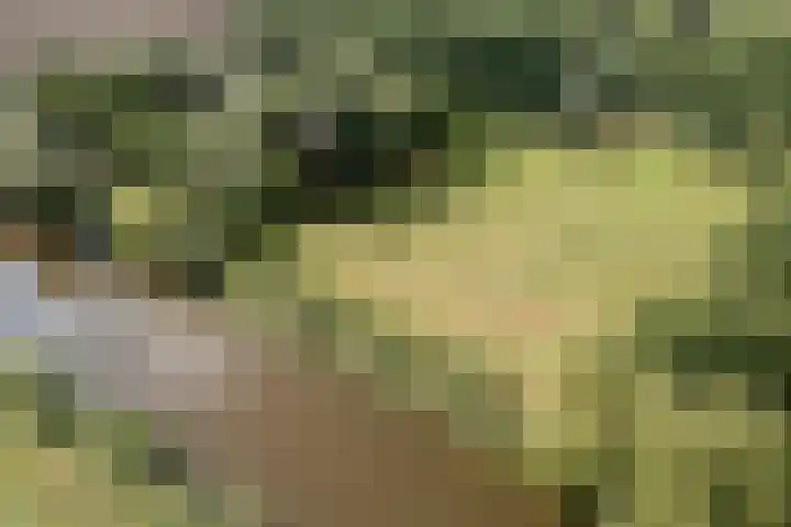 Hoornderweg 2 Wedde thumbnail 4