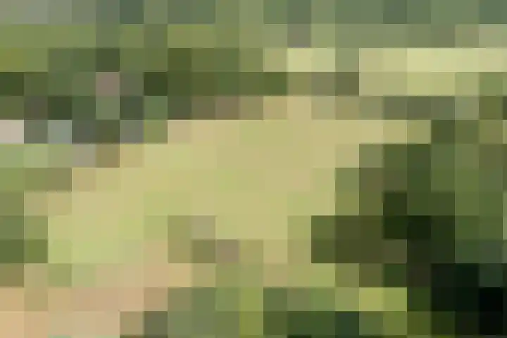 Hoornderweg 2 Wedde thumbnail 40