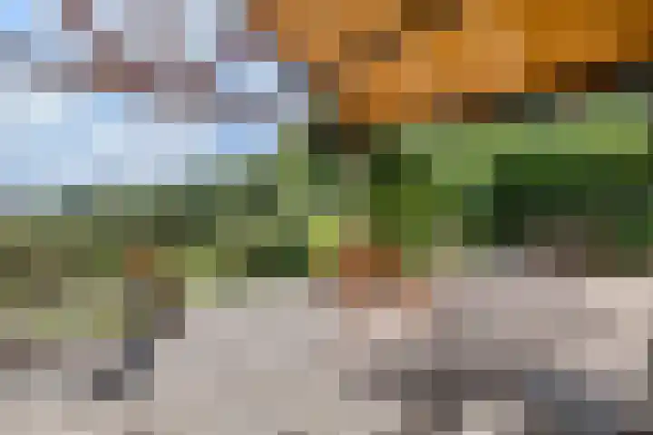 Hoornderweg 2 Wedde thumbnail 41