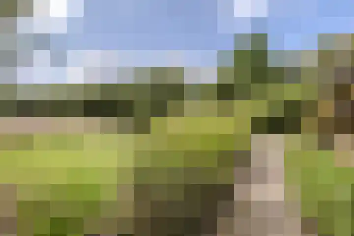 Hoornderweg 2 Wedde thumbnail 43