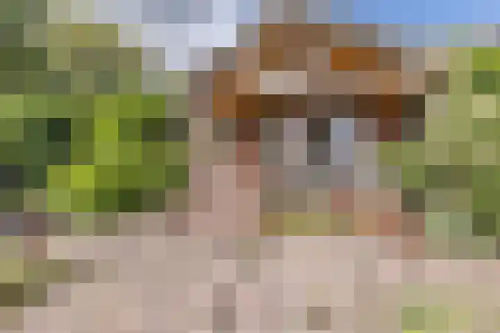 Hoornderweg 2 Wedde thumbnail 44