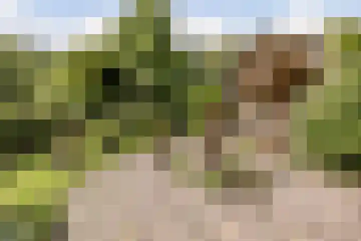 Hoornderweg 2 Wedde thumbnail 45