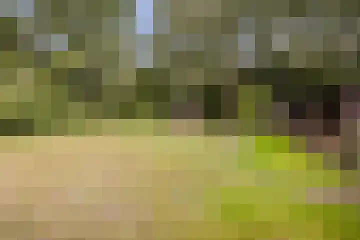 Hoornderweg 2 Wedde thumbnail 46