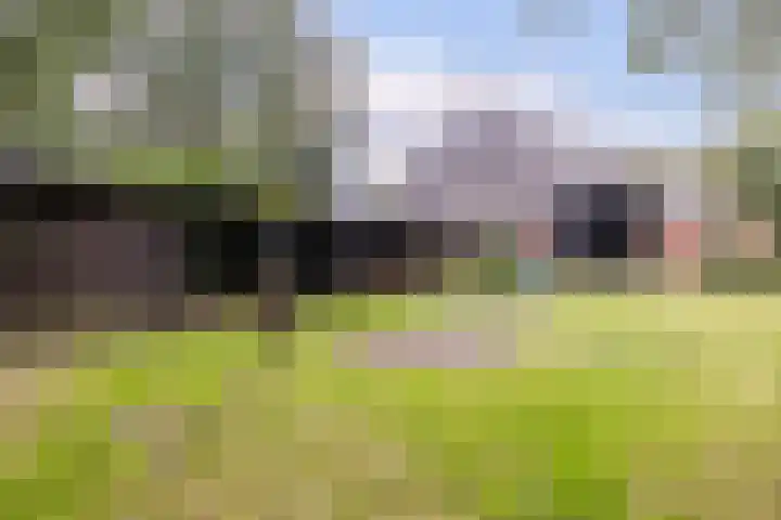 Hoornderweg 2 Wedde thumbnail 47