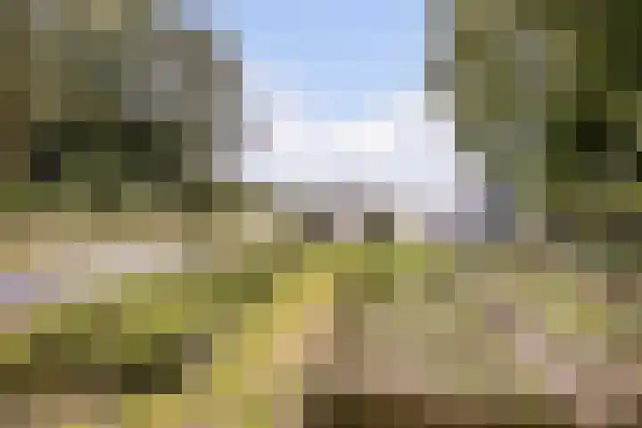 Hoornderweg 2 Wedde thumbnail 48