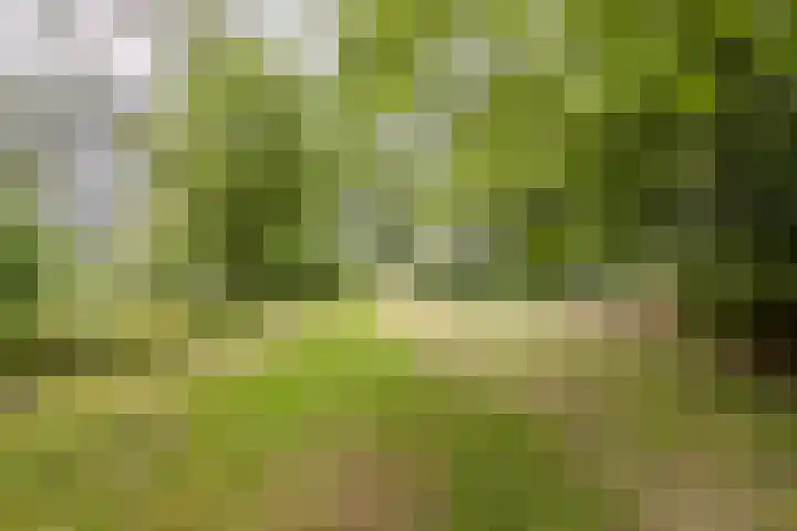 Hoornderweg 2 Wedde thumbnail 49