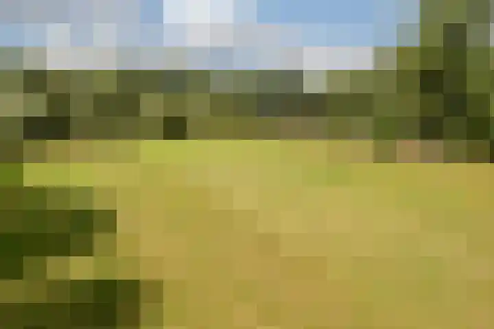 Hoornderweg 2 Wedde thumbnail 5