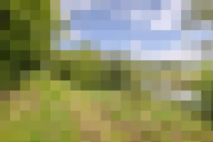 Hoornderweg 2 Wedde thumbnail 50
