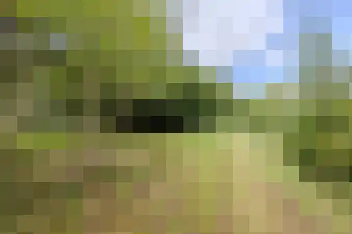 Hoornderweg 2 Wedde thumbnail 51