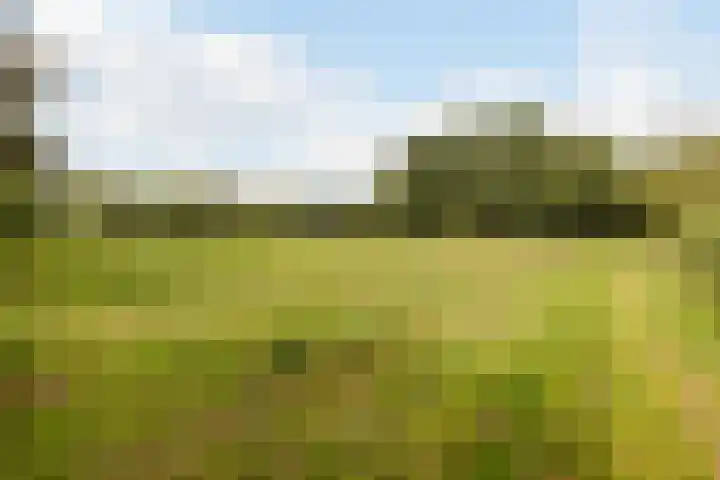 Hoornderweg 2 Wedde thumbnail 52