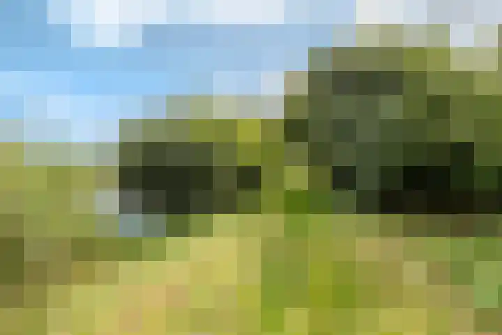 Hoornderweg 2 Wedde thumbnail 53