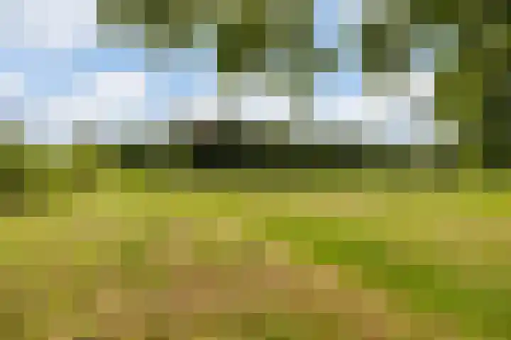 Hoornderweg 2 Wedde thumbnail 54