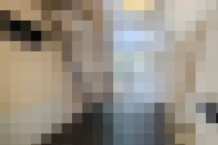 Hoornderweg 2 Wedde thumbnail 56