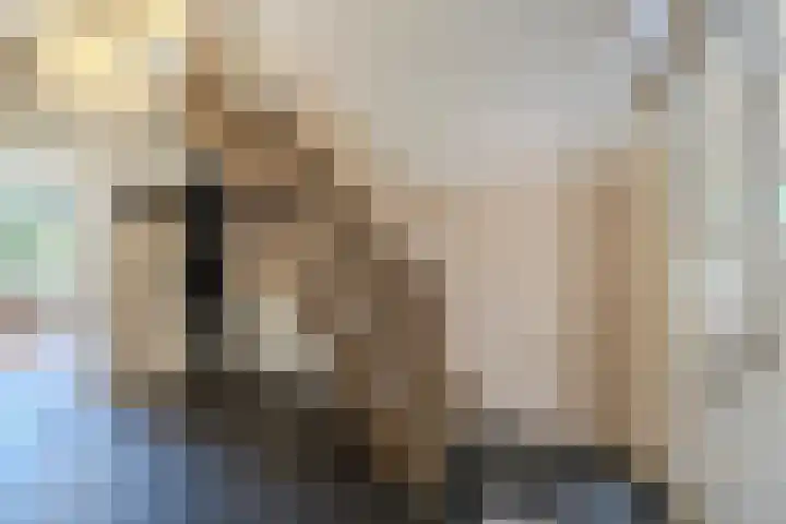 Hoornderweg 2 Wedde thumbnail 57