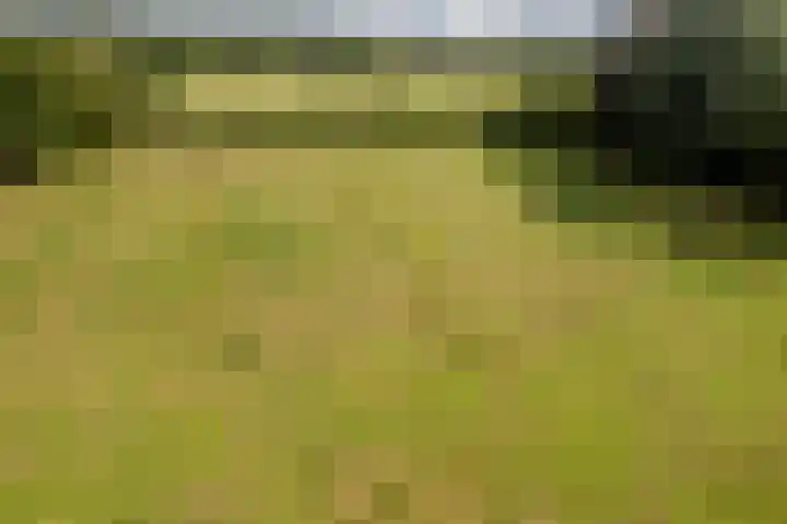Hoornderweg 2 Wedde thumbnail 6