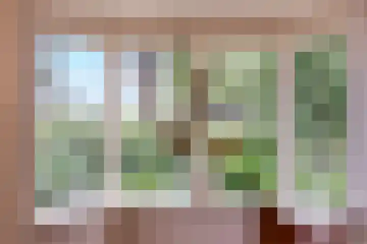 Hoornderweg 2 Wedde thumbnail 60