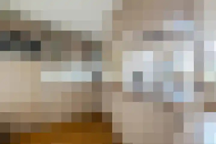 Hoornderweg 2 Wedde thumbnail 71
