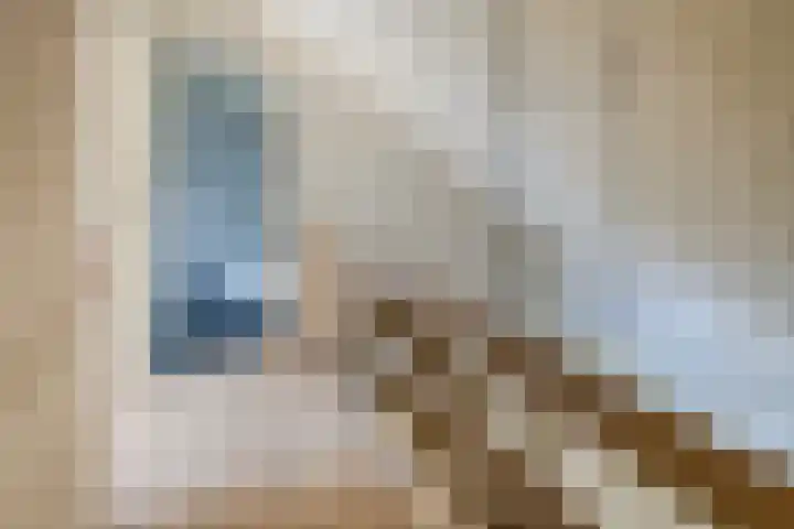 Hoornderweg 2 Wedde thumbnail 72