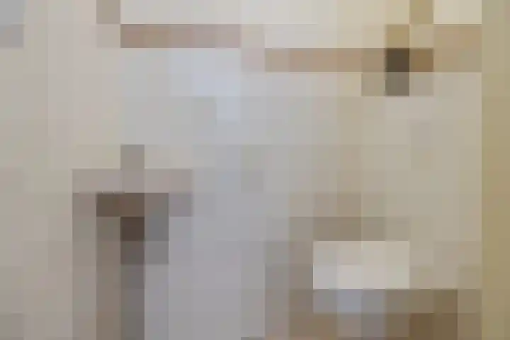 Hoornderweg 2 Wedde thumbnail 78