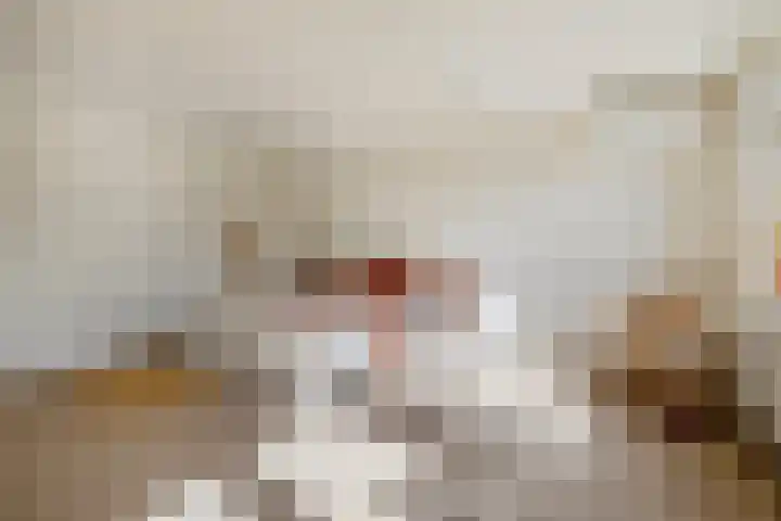 Hoornderweg 2 Wedde thumbnail 81