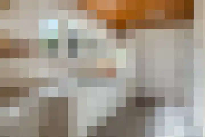 Hoornderweg 2 Wedde thumbnail 83