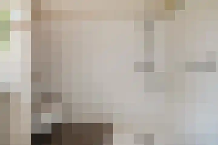 Hoornderweg 2 Wedde thumbnail 84