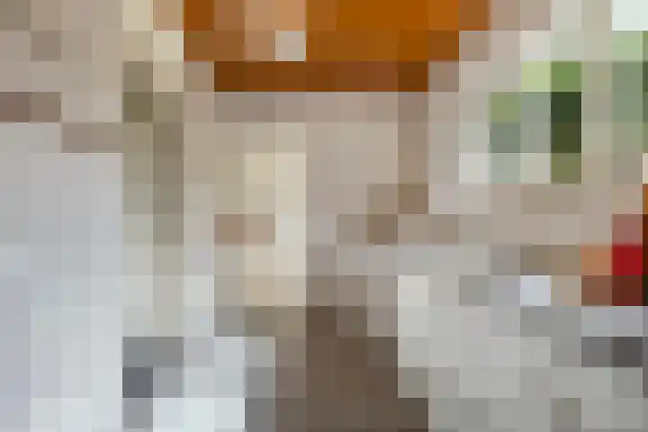 Hoornderweg 2 Wedde thumbnail 85