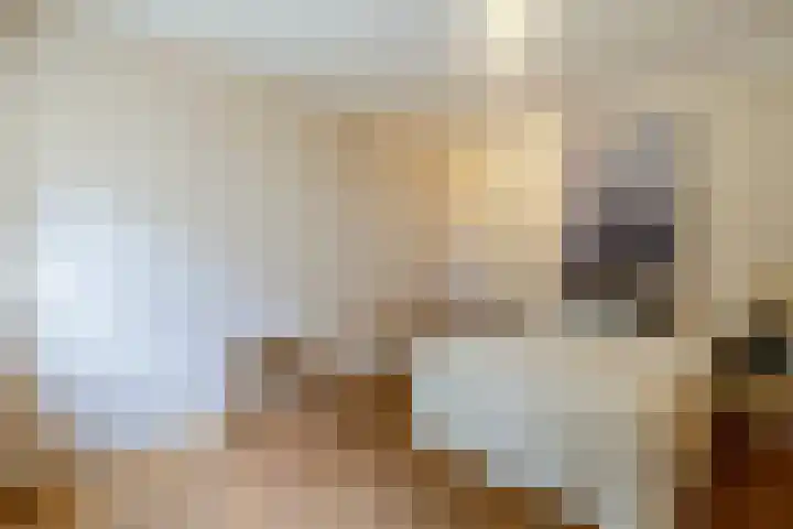 Hoornderweg 2 Wedde thumbnail 86