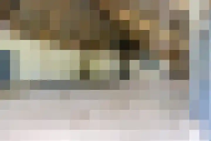Hoornderweg 2 Wedde thumbnail 91