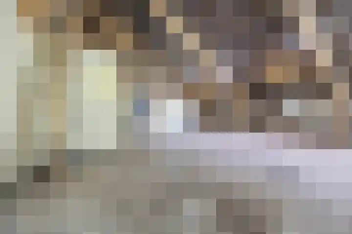 Hoornderweg 2 Wedde thumbnail 92