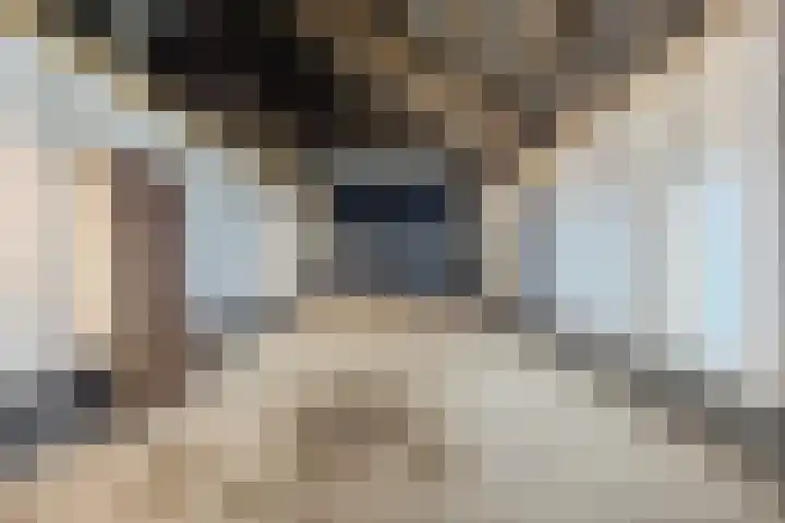Hoornderweg 2 Wedde thumbnail 95