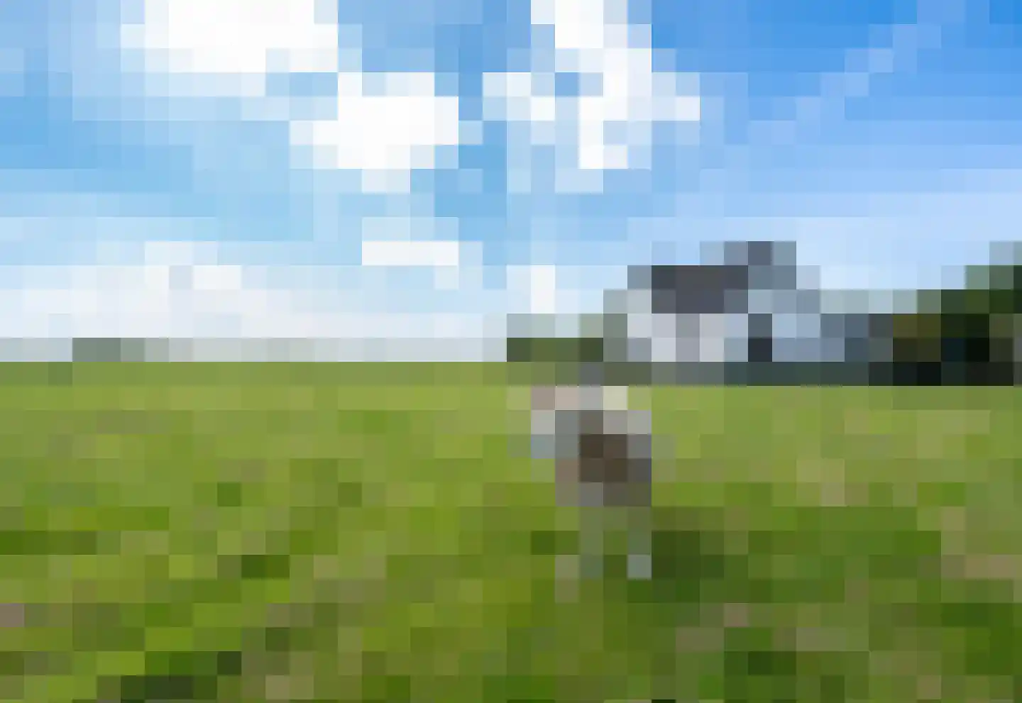 Hoornderweg 36 Den Hoorn thumbnail 11