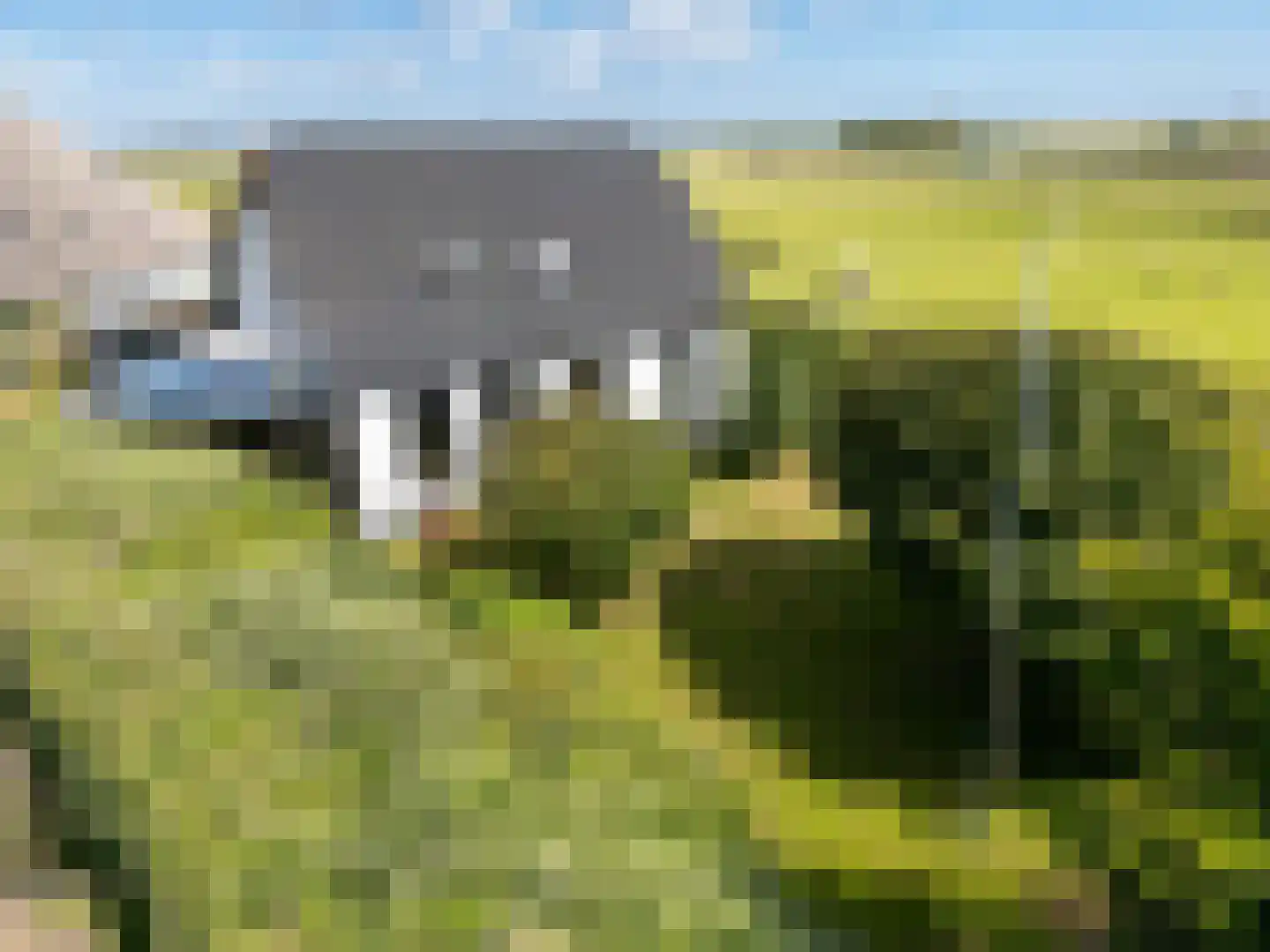 Hoornderweg 36 Den Hoorn thumbnail 13