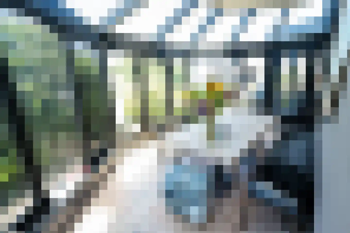 Hoornderweg 36 Den Hoorn thumbnail 19