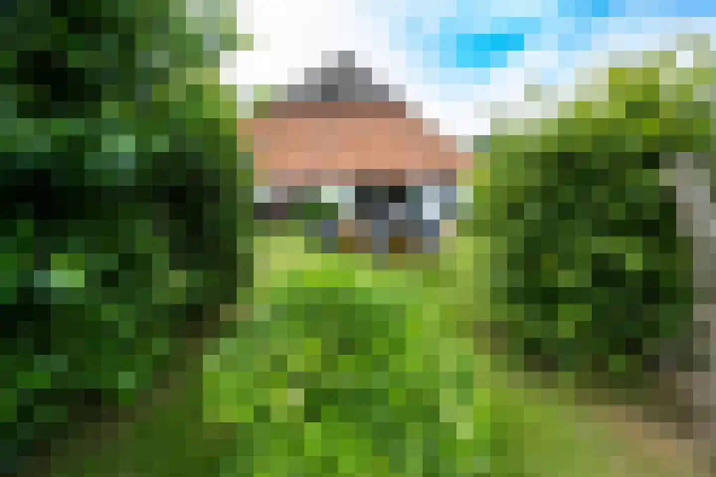 Hoornderweg 36 Den Hoorn thumbnail 28
