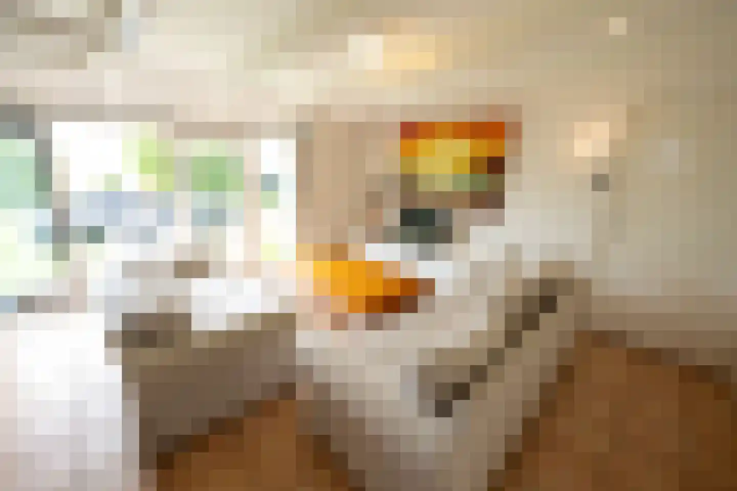 Hoornderweg 36 Den Hoorn thumbnail 31