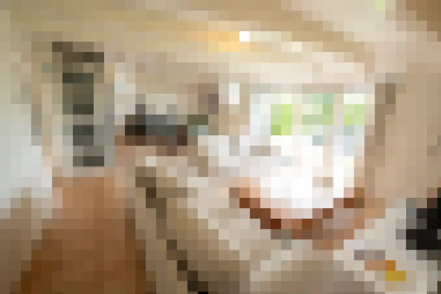 Hoornderweg 36 Den Hoorn thumbnail 32