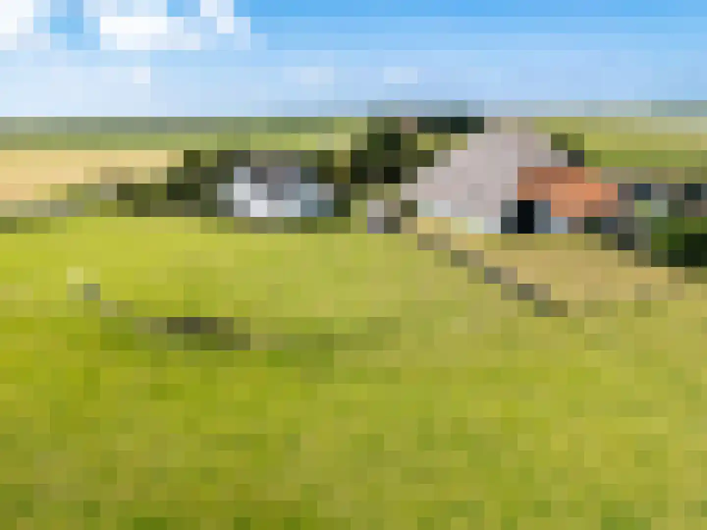 Hoornderweg 36 Den Hoorn thumbnail 4