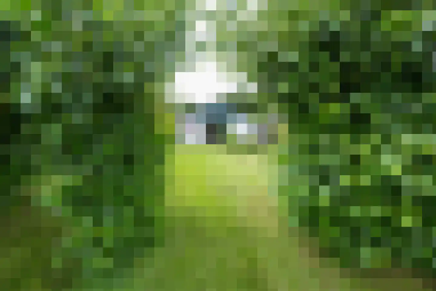 Hoornderweg 36 Den Hoorn thumbnail 41
