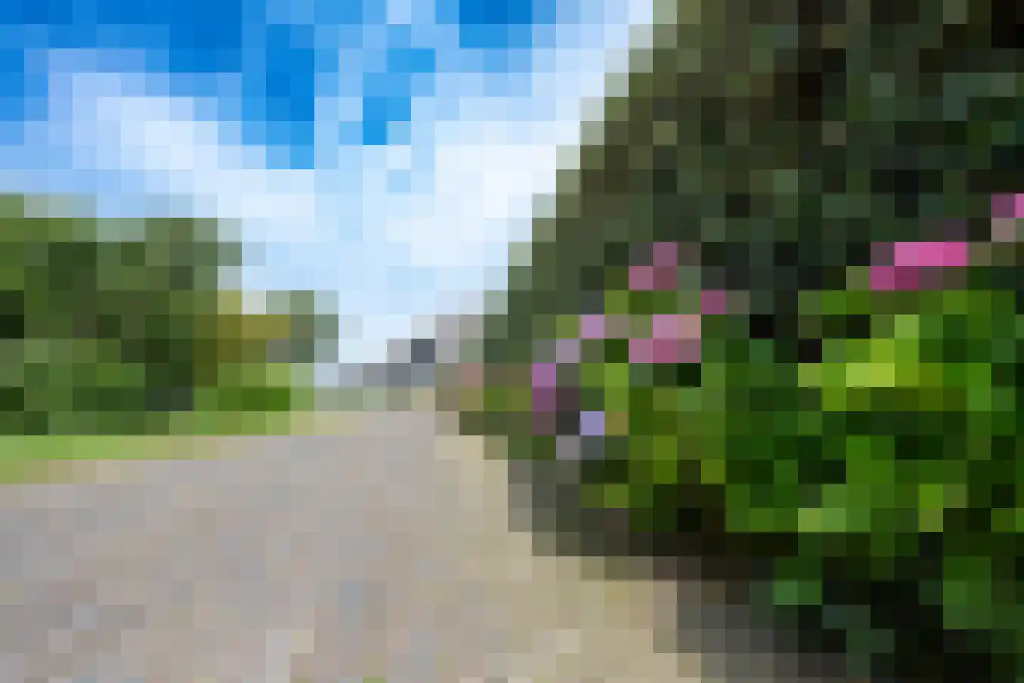 Hoornderweg 36 Den Hoorn thumbnail 9