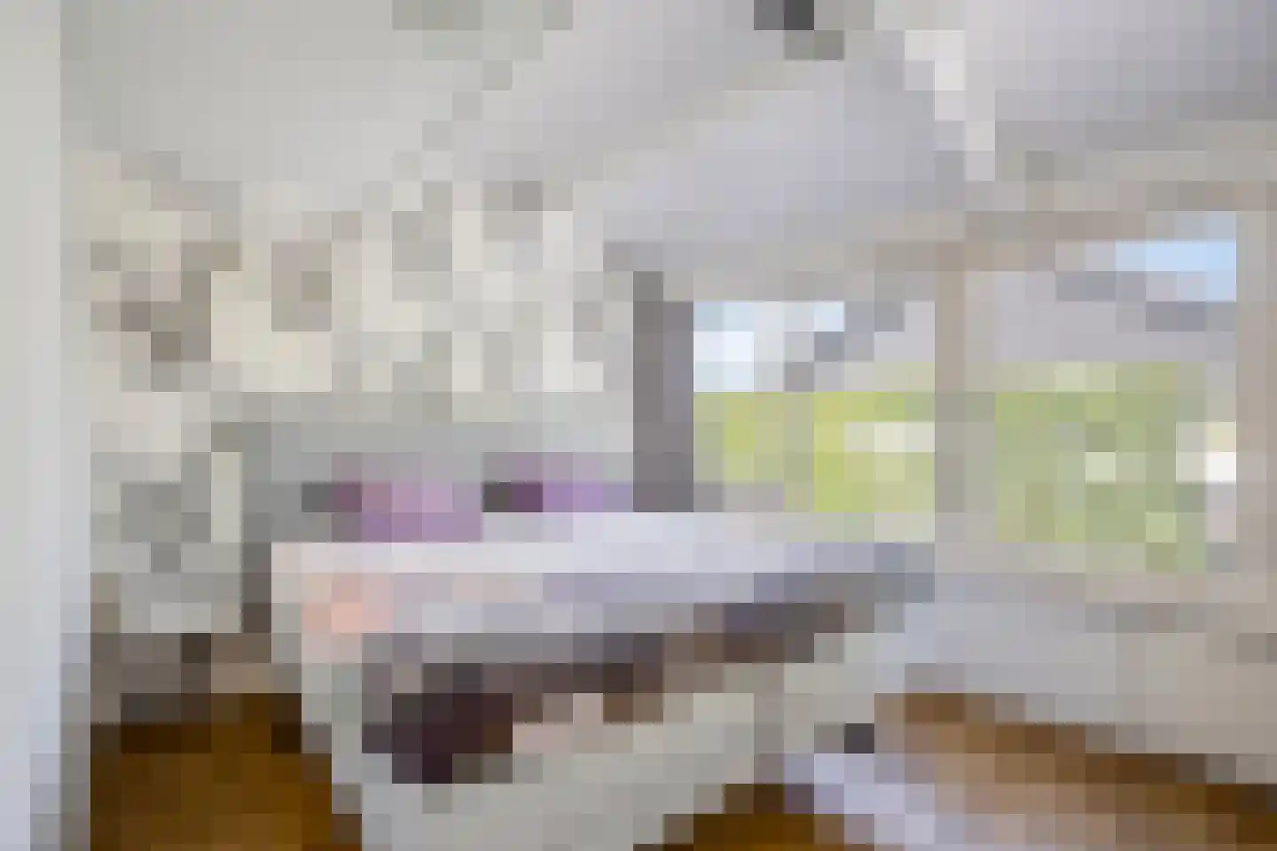 Hoorne 28 Uitgeest thumbnail 15