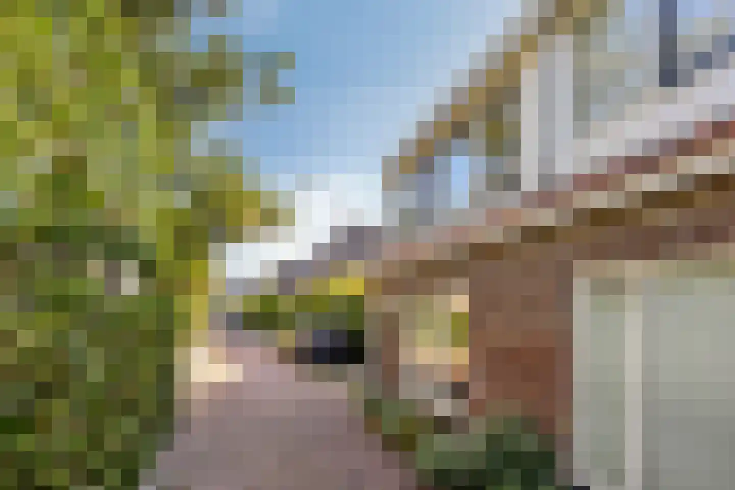 Hoorne 28 Uitgeest thumbnail 28