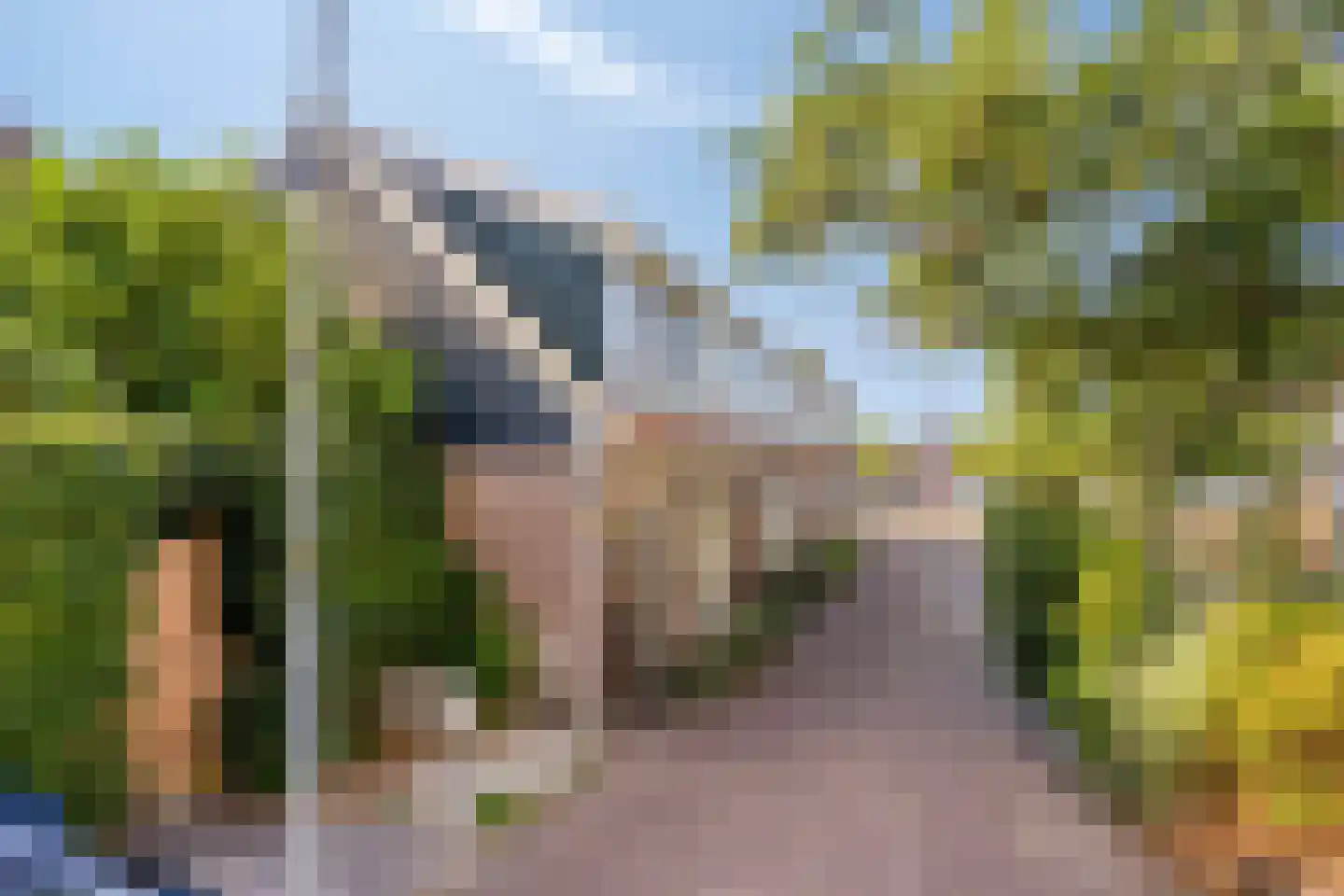 Hoorne 28 Uitgeest thumbnail 30