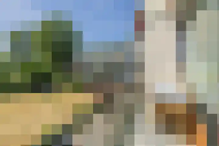 Hoorneslaan 117 Katwijk thumbnail 12