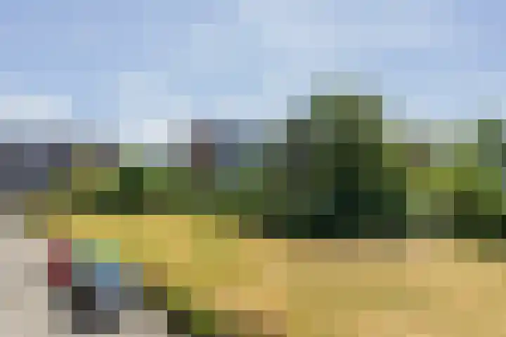 Hoorneslaan 117 Katwijk thumbnail 4