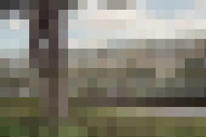 Hoorneslaan 125 Katwijk thumbnail 32
