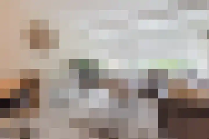Hoorneslaan 129 Katwijk thumbnail 15