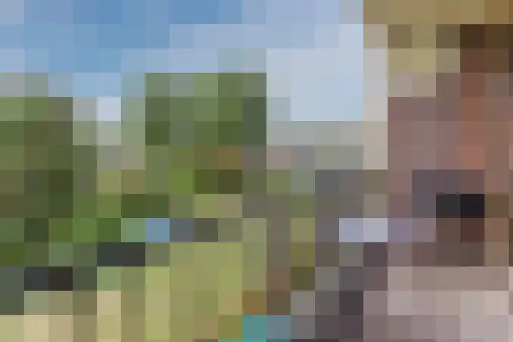 Hoorneslaan 129 Katwijk thumbnail 37